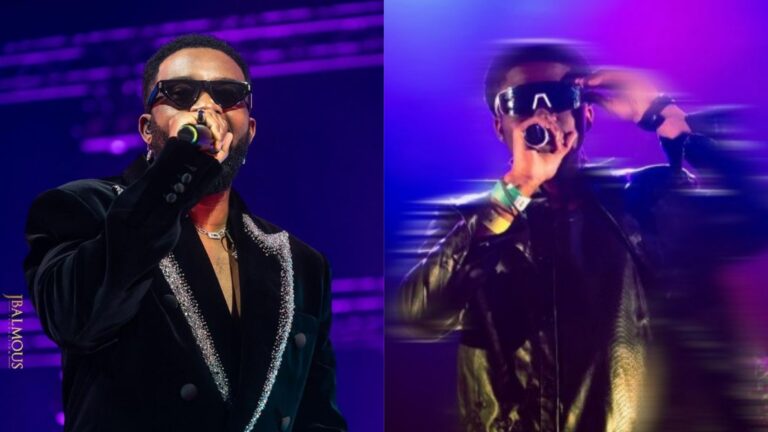 Fally Ipupa donne à Sins l&rsquo;occasion de vendre sa discographie