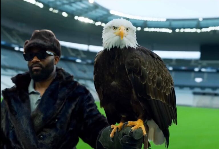 Officiel : Fally Ipupa annonce son concert au Stade de France !