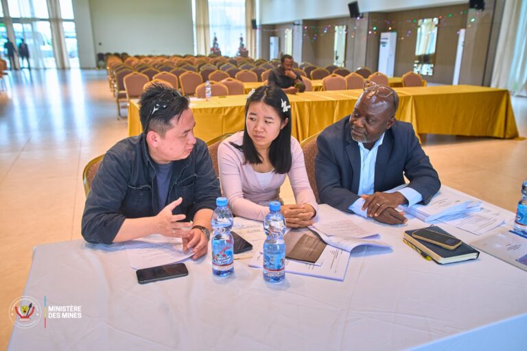 Lualaba : contrôle des entités de traitement minier lancé