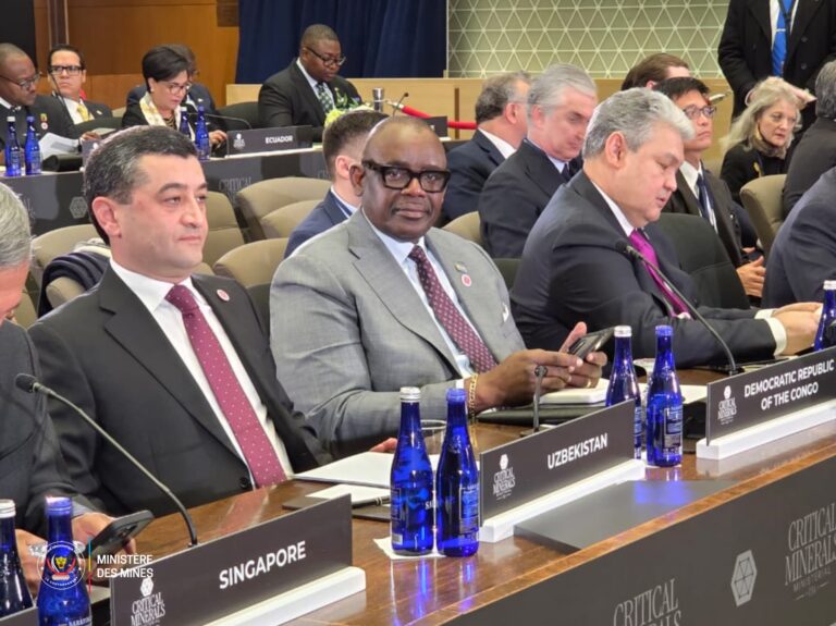 RDC : 70 % du cobalt mondial, Louis Watum Kabamba défend le leadership congolais à Washington