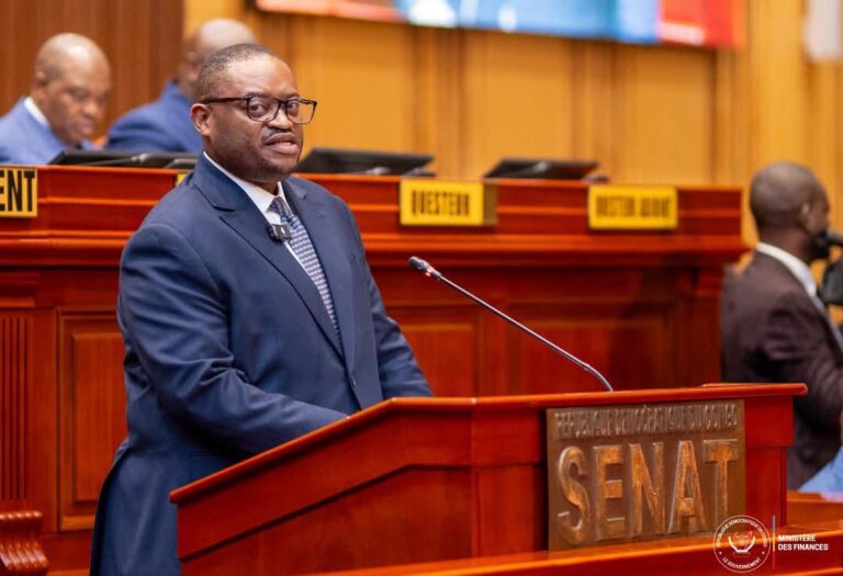 Bourse de Kinshasa : Fwamba défend le projet de loi au Sénat